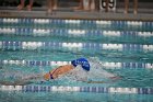 Swim vs Bentley  Wheaton College Swimming & Diving vs Bentley University. - Photo by Keith Nordstrom : Wheaton, Swimming & Diving